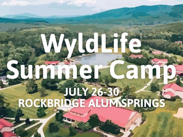 Camp Trip Image - WyldLife Summer Camp - All Area Middle Schools!